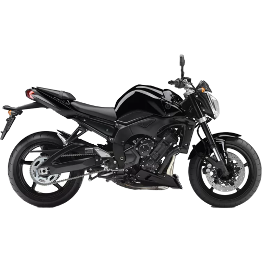 FZ1